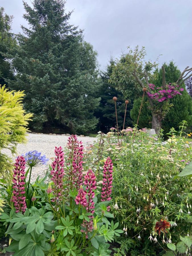 Ticketyboo Bed & Breakfast Pickering