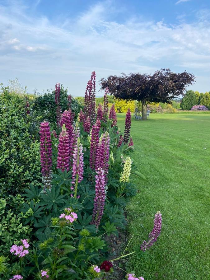 Ticketyboo Bed & Breakfast Pickering